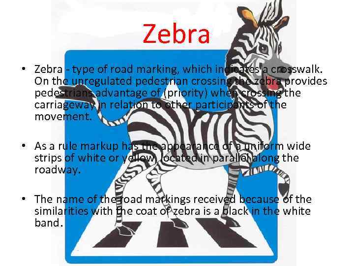 Zebra • Zebra - type of road marking, which indicates a crosswalk. On the