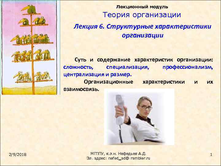 Лекционный модуль Теория организации Лекция 6. Структурные характеристики организации Суть и содержание характеристик организации: