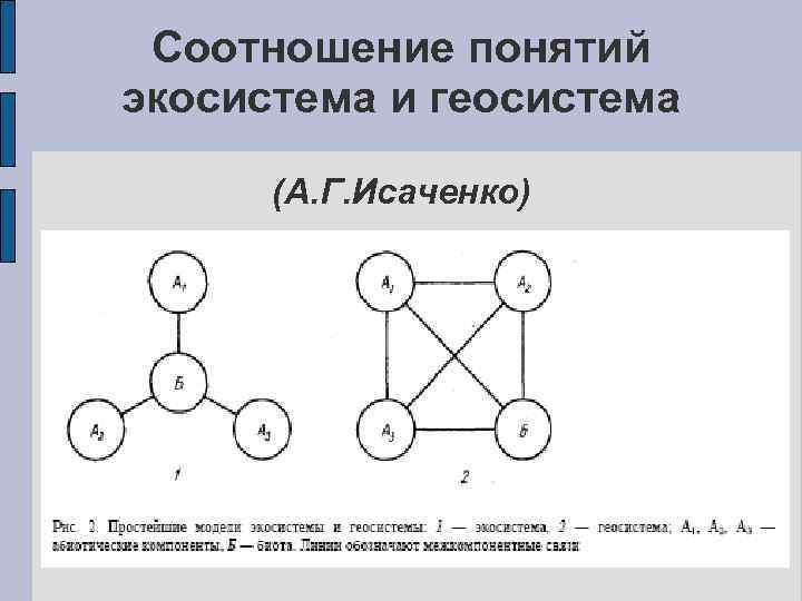 Соотношение понятий экосистема и геосистема (А. Г. Исаченко) 