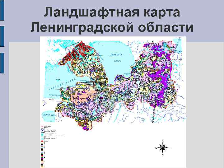 Карта высот ленинградской области подробная с районами и деревнями