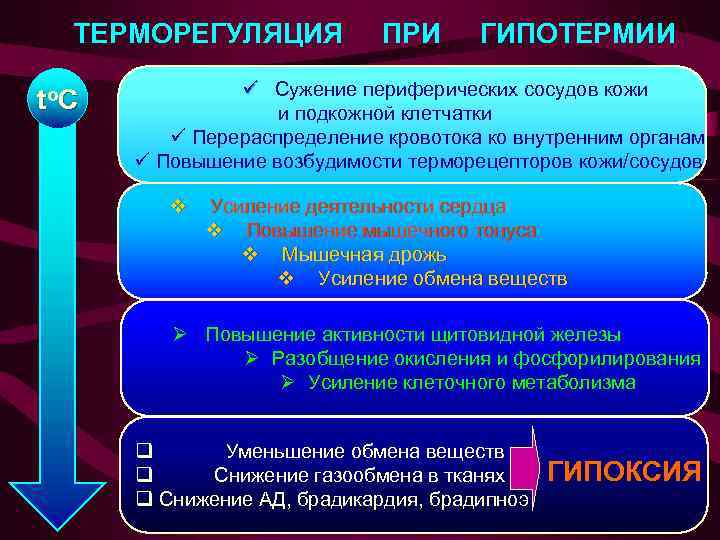 ТЕРМОРЕГУЛЯЦИЯ to C ПРИ ГИПОТЕРМИИ ü Сужение периферических сосудов кожи и подкожной клетчатки ü