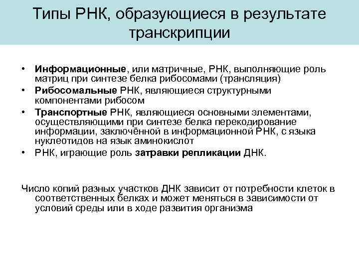 Типы РНК, образующиеся в результате транскрипции • Информационные, или матричные, РНК, выполняющие роль матриц