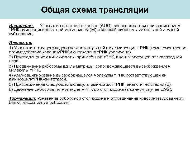 Общая схема трансляции Инициация. Узнавание стартового кодона (AUG), сопровождается присоединением т. РНК аминоацилированной метионином