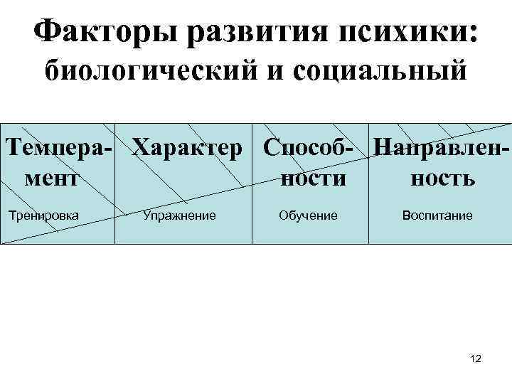 Факторы развития психики: биологический и социальный Темпера- Характер Способ- Направленмент ности ность Тренировка Упражнение