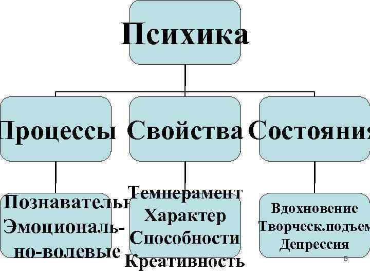 Психика Процессы Свойства Состояния Темперамент Познавательные Характер Эмоциональ. Способности но-волевые Креативность Вдохновение Творческ. подъем