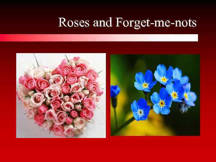 Roses and Forget-me-nots 