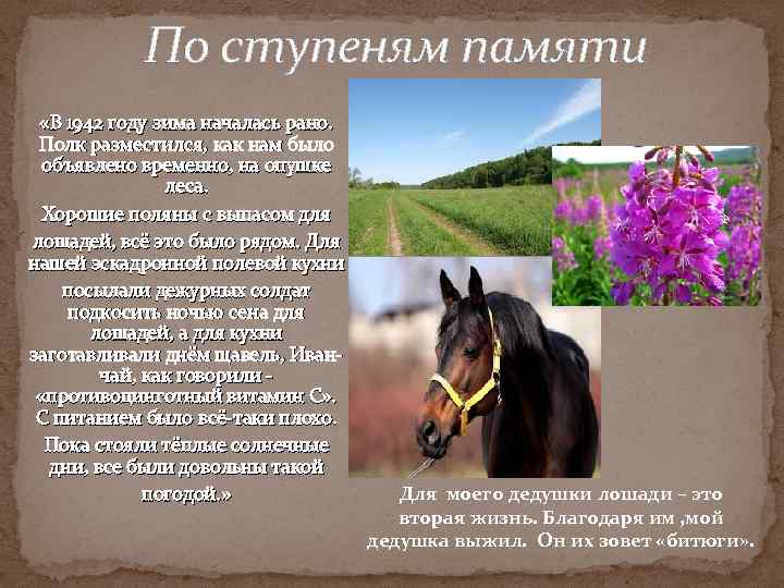 По ступеням памяти «В 1942 году зима началась рано. Полк разместился, как нам было