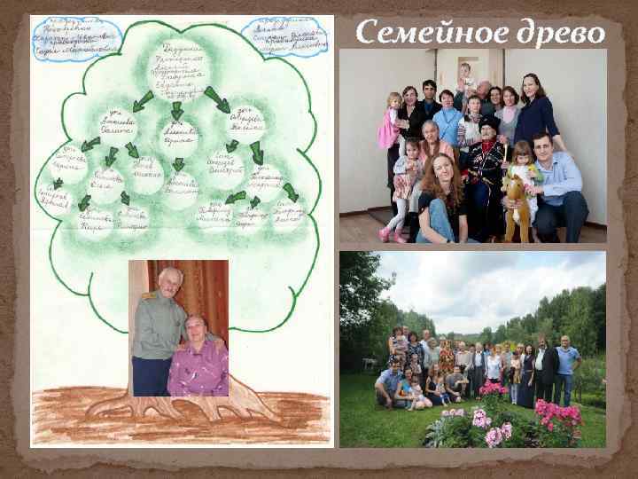 Семейное древо 