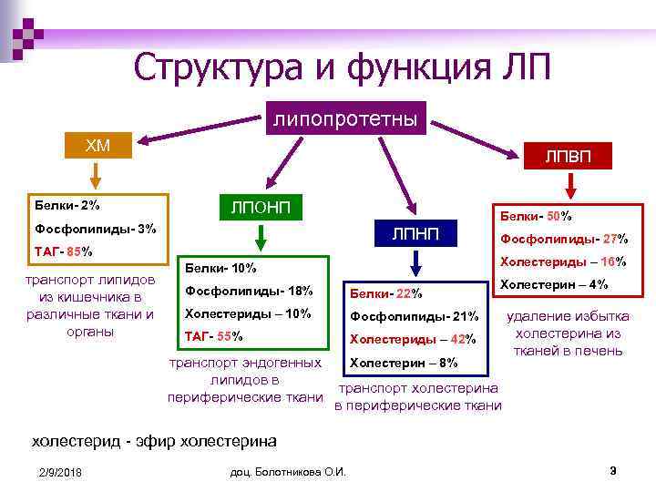 Структура и функция ЛП липопротетны ХМ Белки- 2% ЛПВП ЛПОНП Белки- 50% Фосфолипиды- 3%