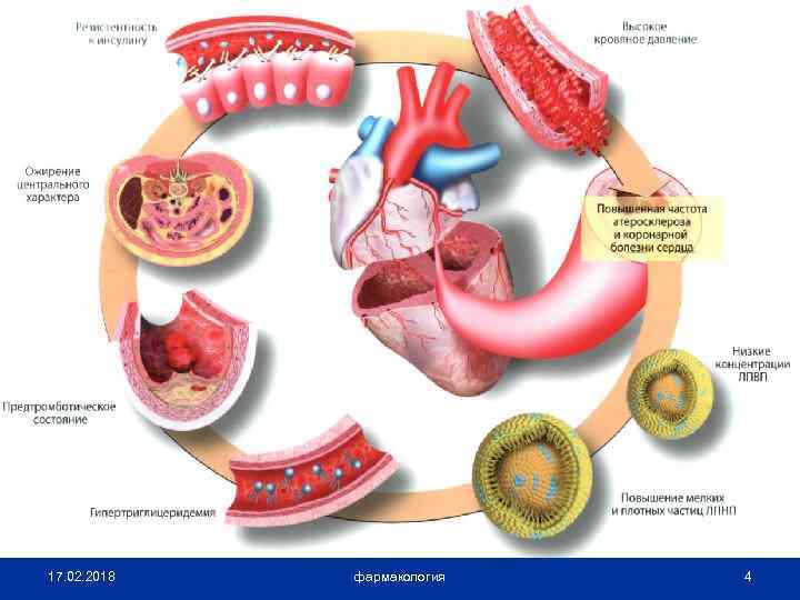 17. 02. 2018 фармакология 4 