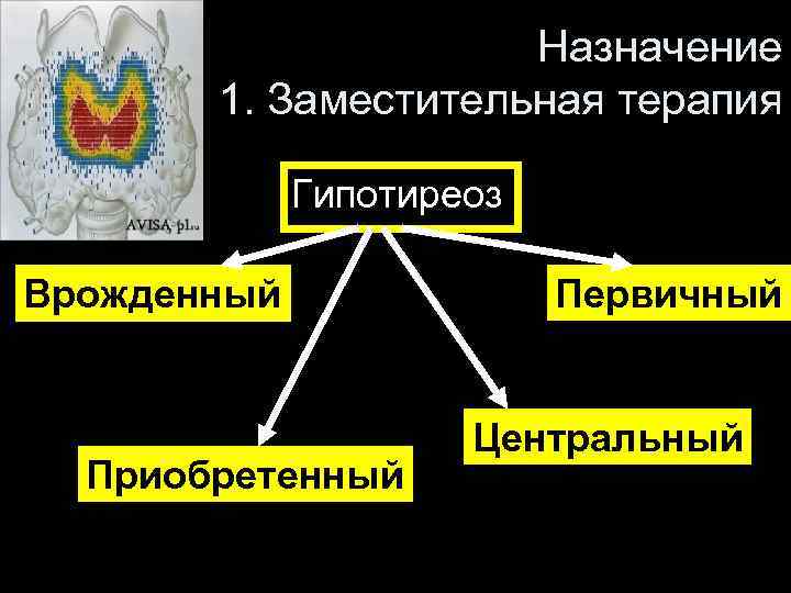 Назначение 1. Заместительная терапия Гипотиреоз Врожденный Приобретенный Первичный Центральный 