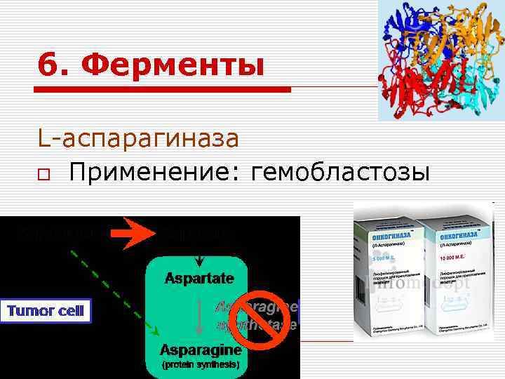 6. Ферменты L-аспарагиназа o Применение: гемобластозы 