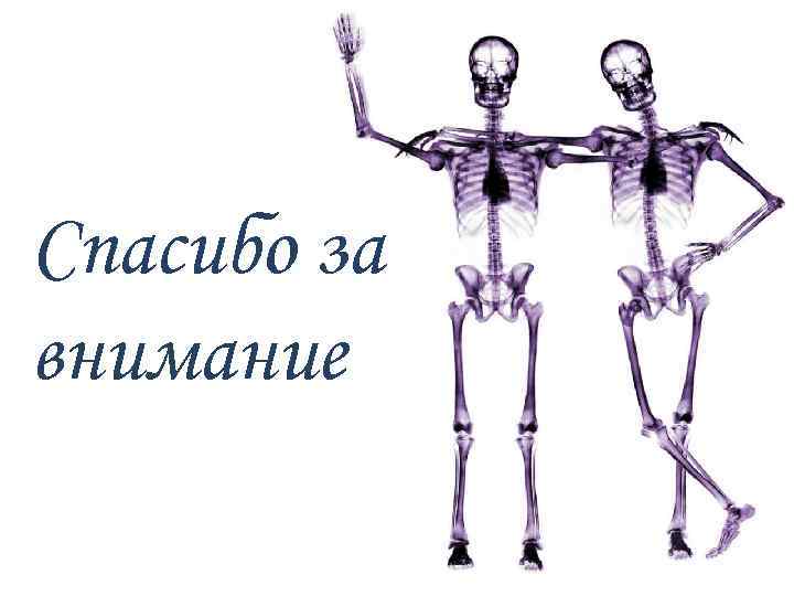 Спасибо за внимание 