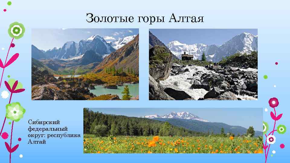 Золотые горы Алтая Сибирский федеральный округ: республика Алтай 