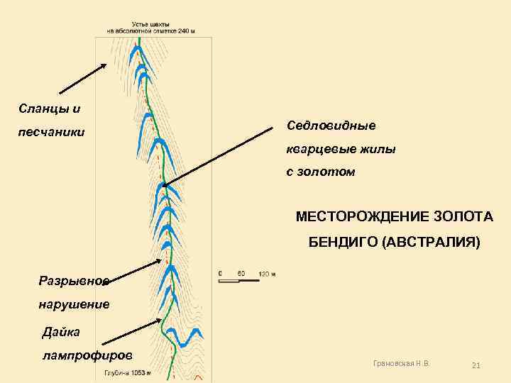 Сланцы и песчаники Седловидные кварцевые жилы с золотом МЕСТОРОЖДЕНИЕ ЗОЛОТА БЕНДИГО (АВСТРАЛИЯ) Разрывное нарушение