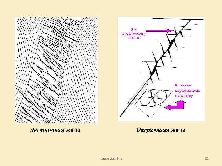 аоперяющая жила б - схема перемещения по стволу Лестничная жила Оперяющая жила Грановская Н.