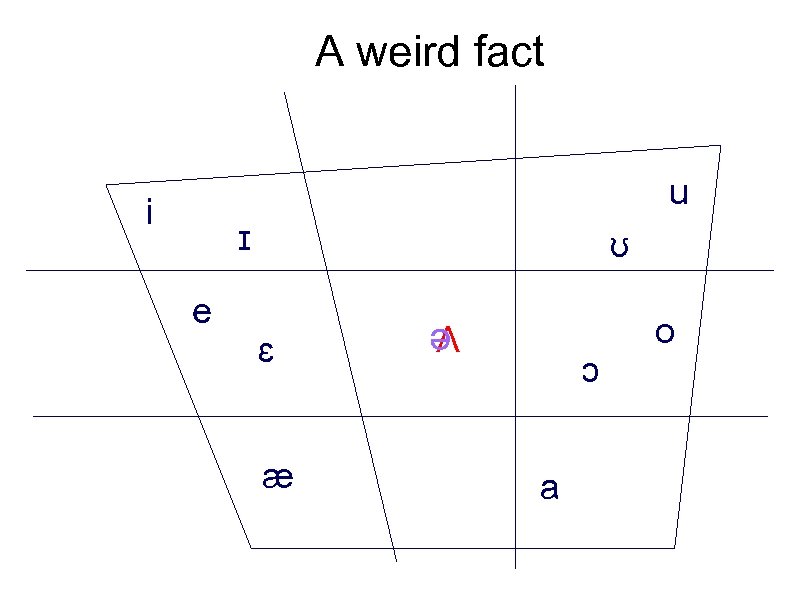 A weird fact u i ɪ e ʊ ɛ æ ə Ʌ ɔ a