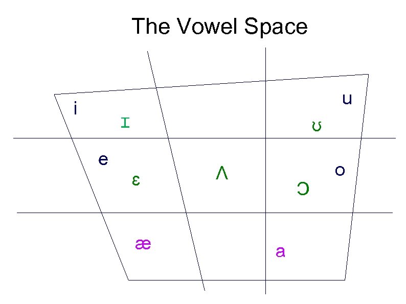 The Vowel Space u i ɪ e ʊ ɛ æ Ʌ Ͻ a o
