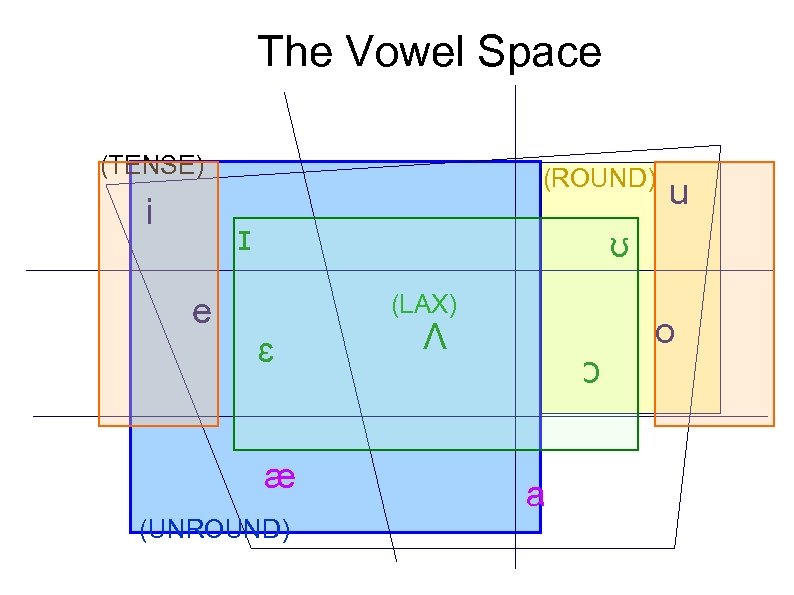 The Vowel Space (TENSE) i (ROUND) ɪ e u ʊ (LAX) ɛ æ (UNROUND)