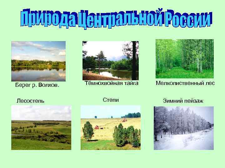 Берег р. Волхов. Лесостепь Тёмнохвойная тайга Степи Мелколиственный лес Зимний пейзаж 