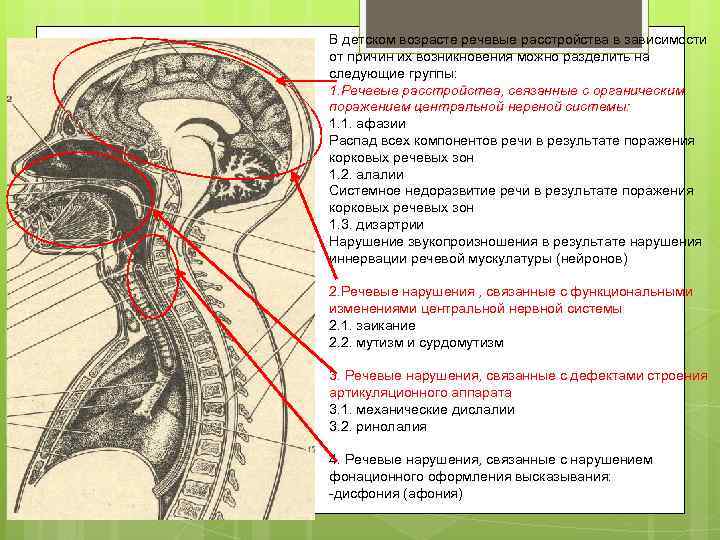 В детском возрасте речевые расстройства в зависимости от причин их возникновения можно разделить на