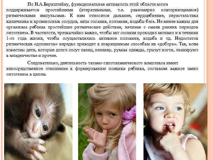 По Н. А. Бернштейну, функциональная активность этой области мозга поддерживается простейшими (итеративными, т. е.