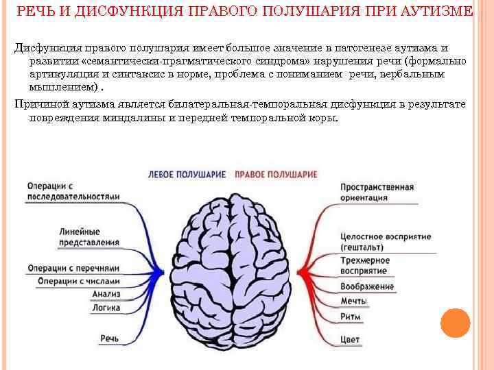 РЕЧЬ И ДИСФУНКЦИЯ ПРАВОГО ПОЛУШАРИЯ ПРИ АУТИЗМЕ Дисфункция правого полушария имеет большое значение в