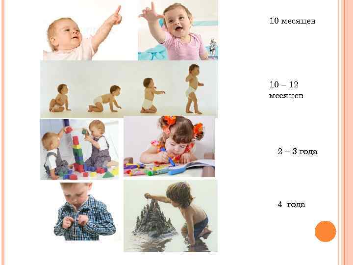10 месяцев 10 – 12 месяцев 2 – 3 года 4 года 