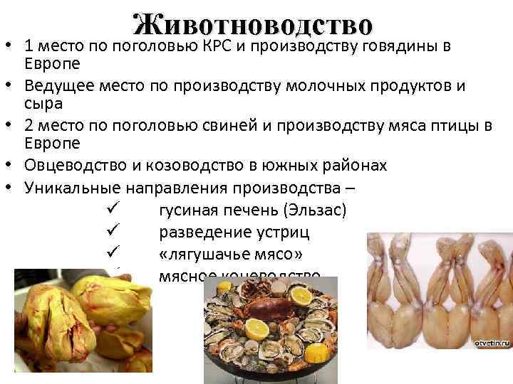 Животноводство • 1 место по поголовью КРС и производству говядины в Европе • Ведущее