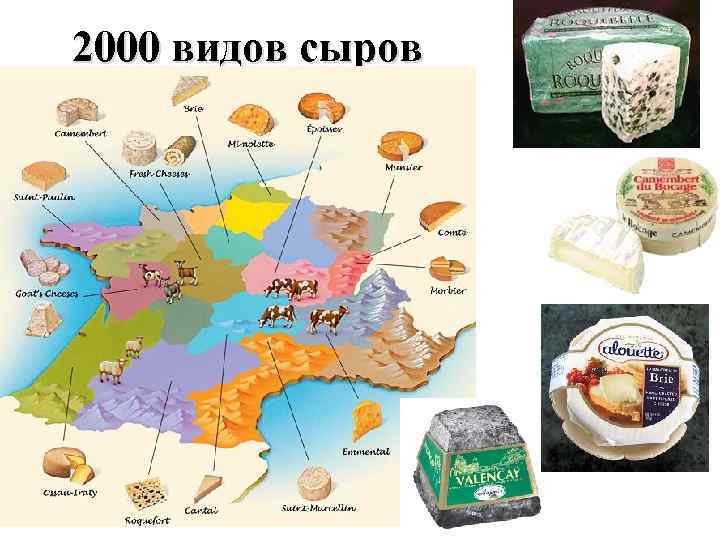 2000 видов сыров 