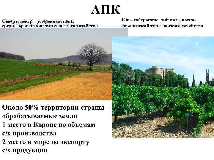 АПК Север и центр – умеренный пояс, среднеевропейский тип сельского хозяйства Около 50% территории