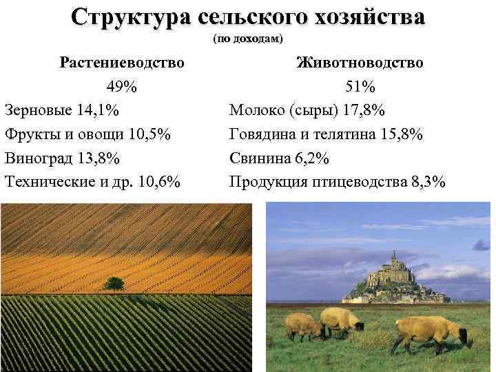 Примеры стран с аграрной структурой
