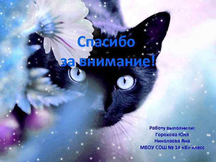 Спасибо за внимание! Работу выполнили: Горохова Юля Николаева Яна МБОУ СОШ № 14 «Б»