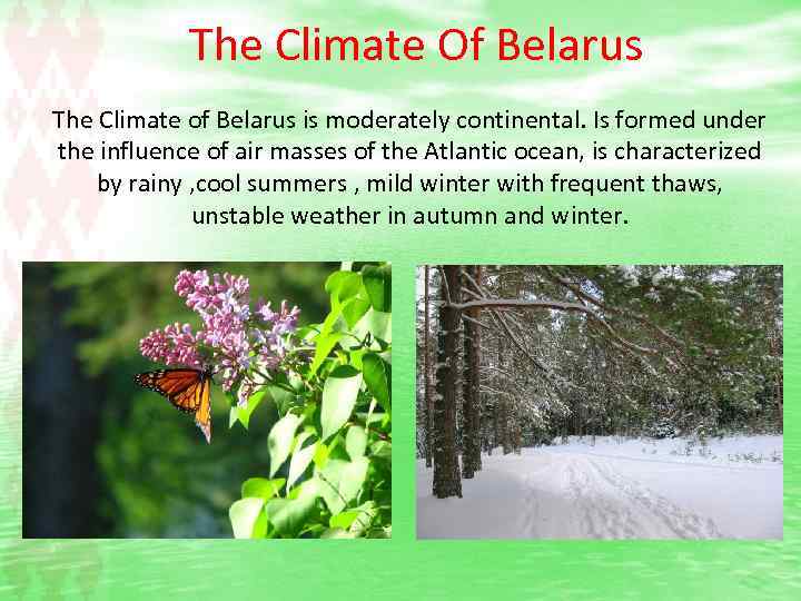 The Climate Of Belarus The Climate of Belarus is moderately continental. Is formed under