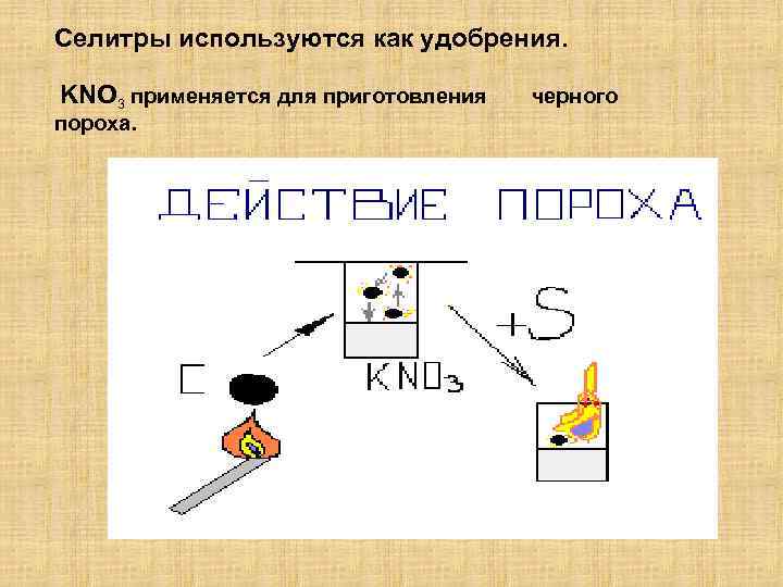 Селитры используются как удобрения. KNO 3 применяется для приготовления пороха. черного 