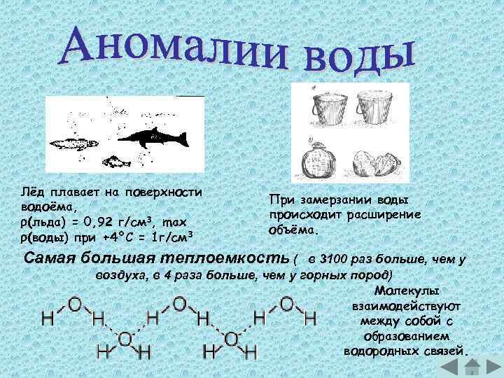 Лёд плавает на поверхности водоёма, (льда) = 0, 92 г/см 3, max (воды) при