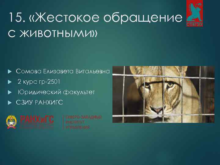 15. «Жестокое обращение с животными» Сомова Елизавета Витальевна 2 курс гр-2501 Юридический факультет СЗИУ