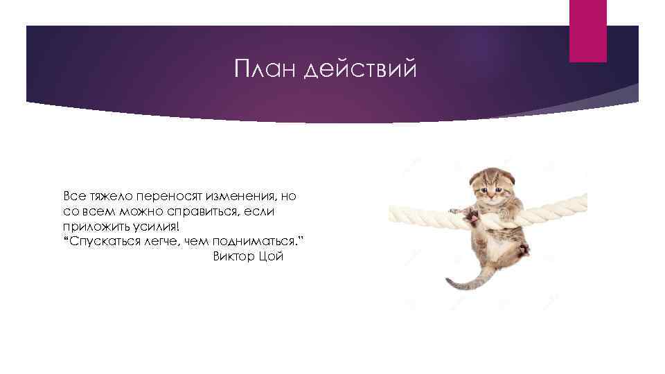 План действий Все тяжело переносят изменения, но со всем можно справиться, если приложить усилия!