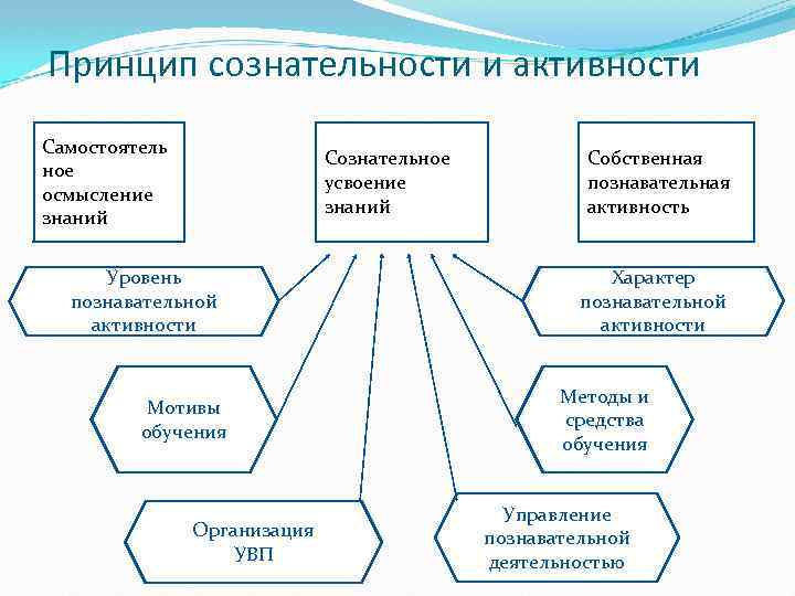 Ребенок активен конструирует собственные когнитивные схемы