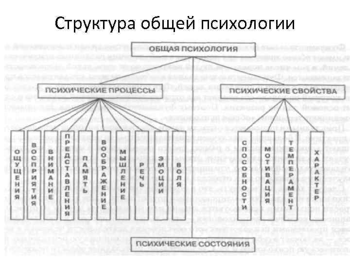 Структура общей психологии 