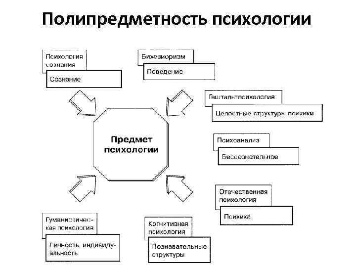 Полипредметность психологии 