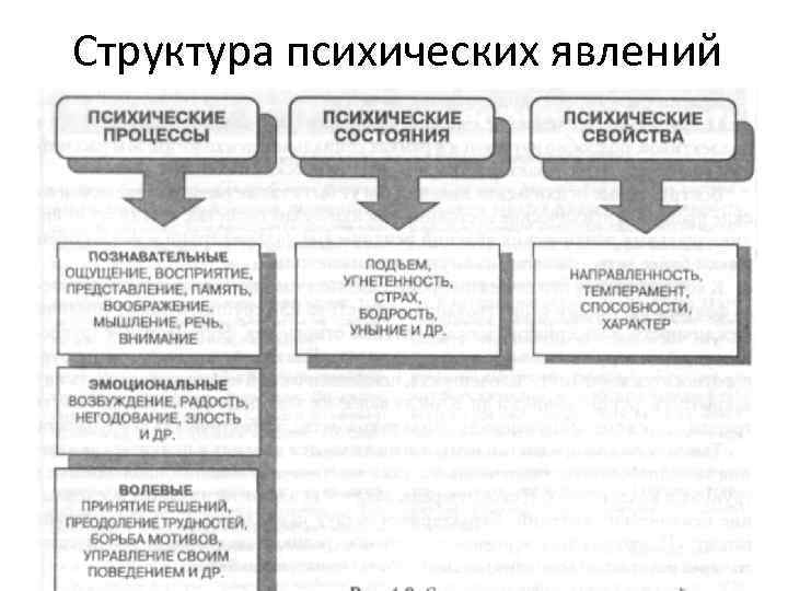 Структура психических явлений 