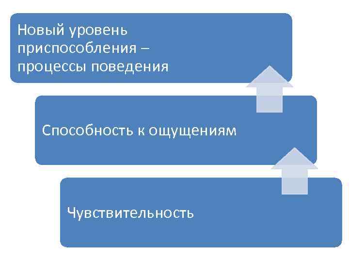 Новый уровень приспособления – процессы поведения Способность к ощущениям Чувствительность 