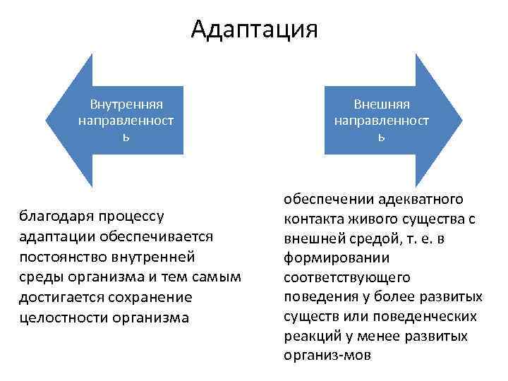 Примеры способностей предпринимателей приспосабливаться