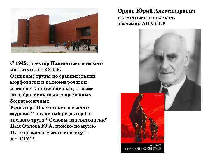 Орлов Юрий Александрович палеонтолог и гистолог, академик АН СССР С 1945 директор Палеонтологического института