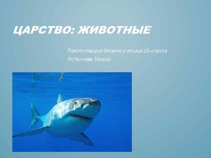 ЦАРСТВО: ЖИВОТНЫЕ Презентацию делала ученица 7 Б класса Устинова Таисия 