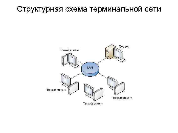 Структурная схема терминальной сети 