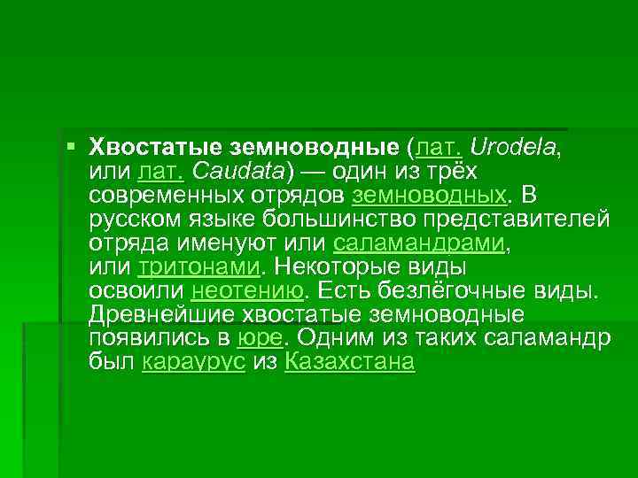 § Хвостатые земноводные (лат. Urodela, или лат. Caudata) — один из трёх современных отрядов