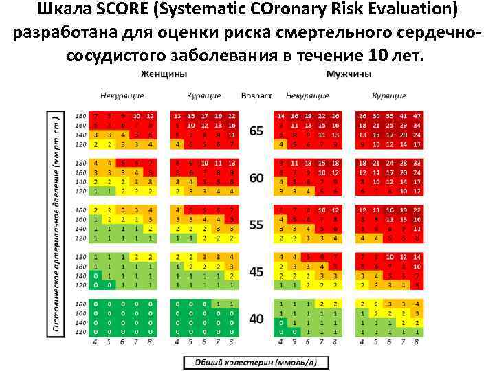 Шкала SCORE (Systematic COronary Risk Evaluation) разработана для оценки риска смертельного сердечнососудистого заболевания в