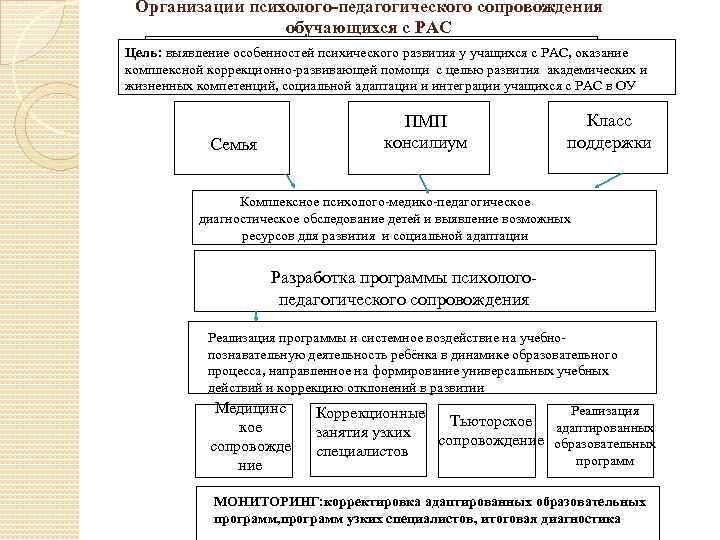 Коррекционная программа психического развития